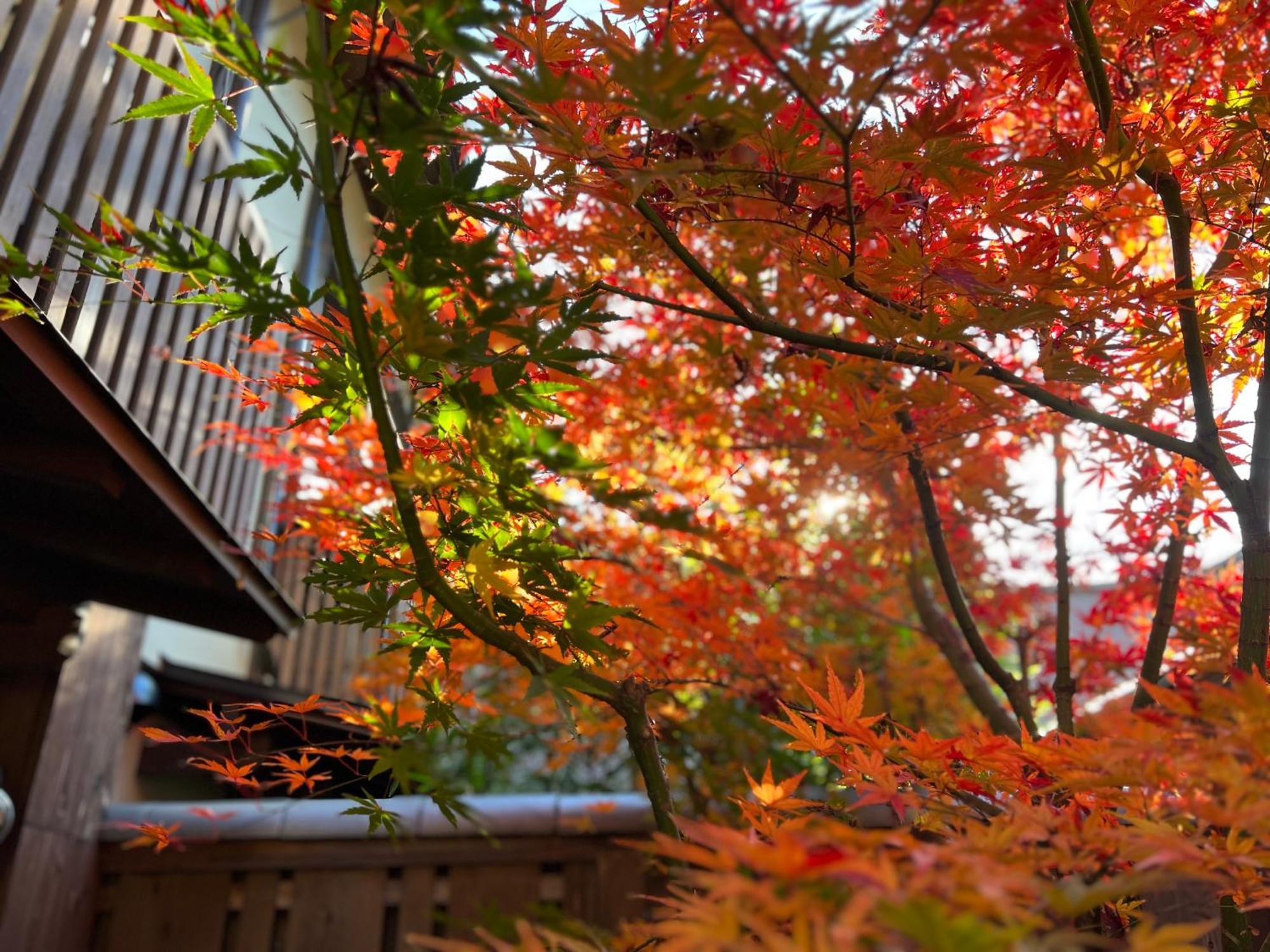 京都市 Imakumano Terrace - 道八庵ヴィラ エクステリア 写真